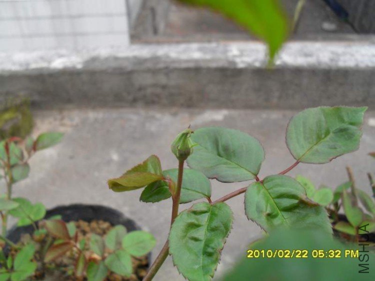 SDC10831.JPG