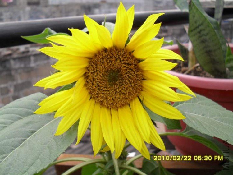 SDC10830.JPG