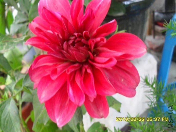 SDC10841.JPG