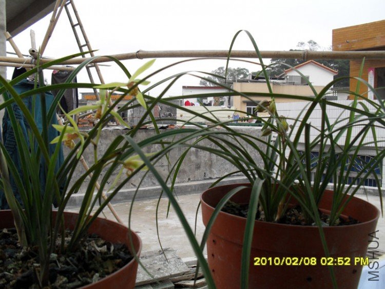 SDC10791.JPG