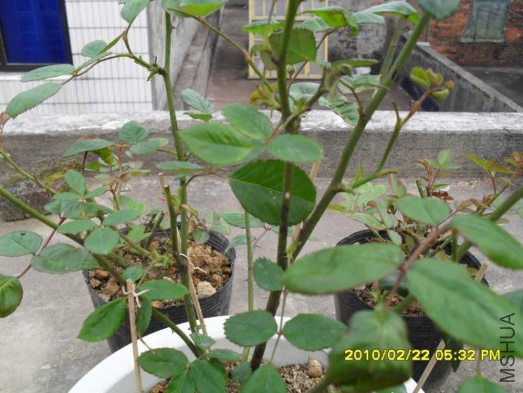SDC10832.JPG