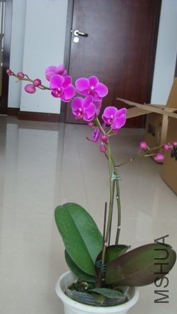 DSC01809.JPG