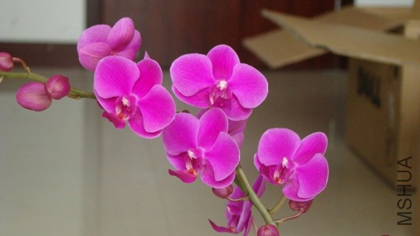 DSC01808.JPG