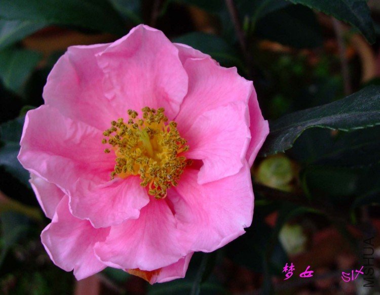 ��Ů 10-2-23 (1).jpg