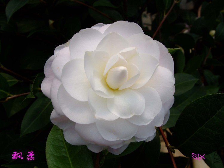 Ʈ�� 10-2-23 (1).jpg