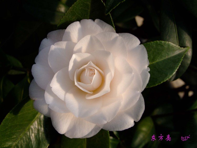 ������ 10-2-23 (1).jpg