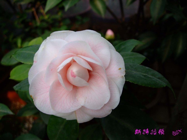 ˹������10-2-23 (1).jpg