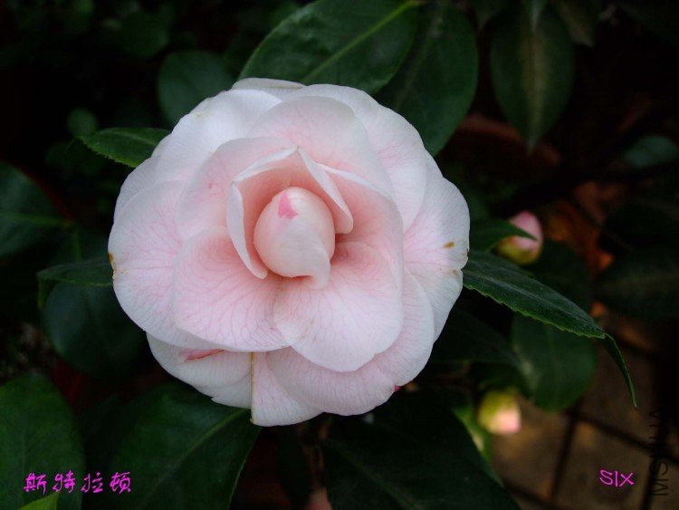 ˹������10-2-23 (2).jpg