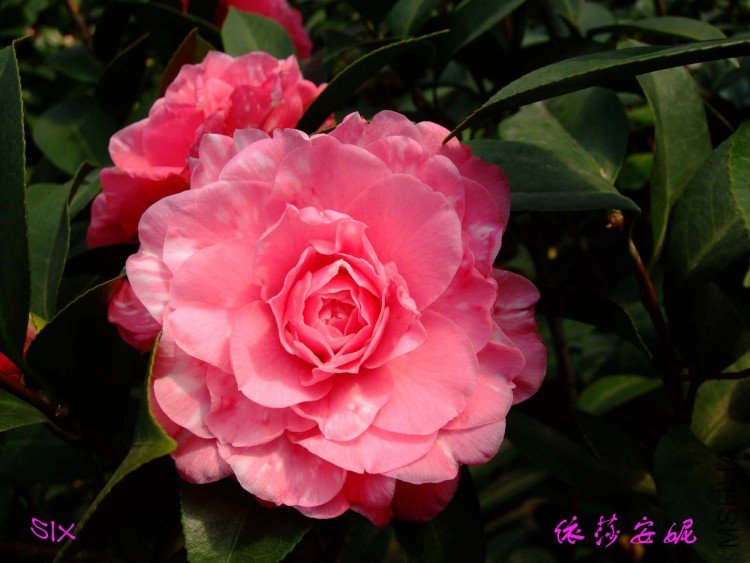 ��ɯ����10-2-23 (2).jpg