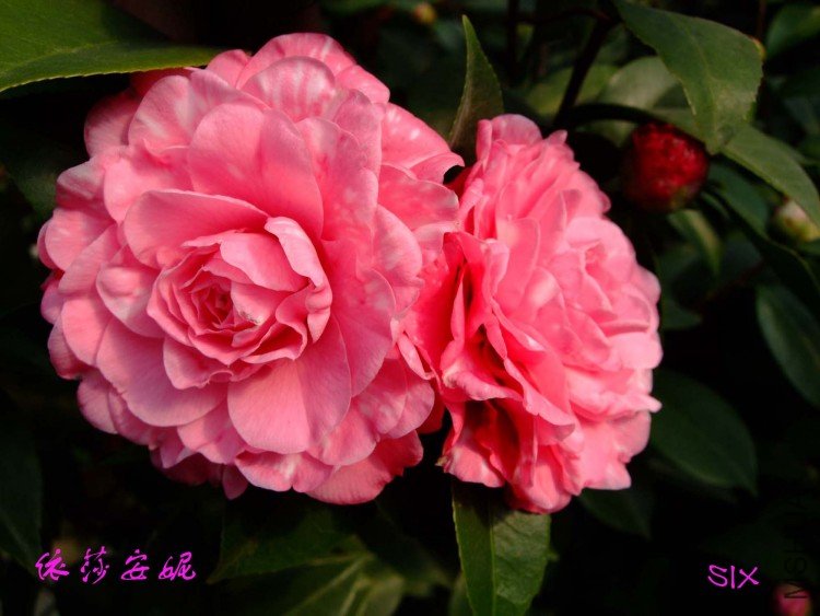 ��ɯ����10-2-23 (1).jpg