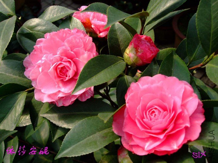 ��ɯ����10-2-23 (3).jpg