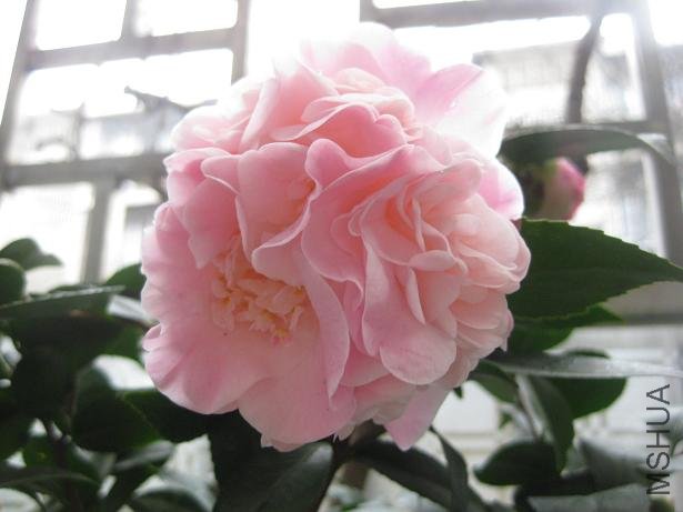 ���� 001.jpg