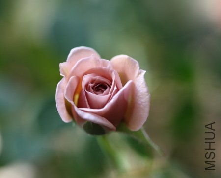 IMG_3501.JPG