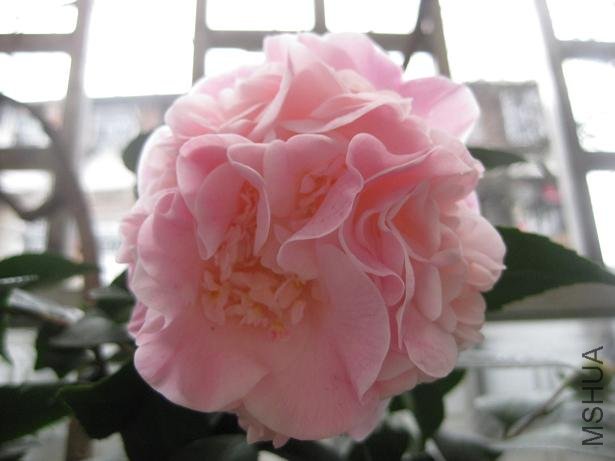 ���� 006.jpg