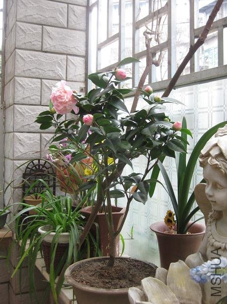 ���� 004.jpg