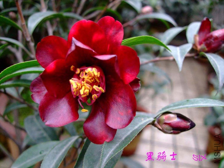 ����ʿ 10-2-24.jpg