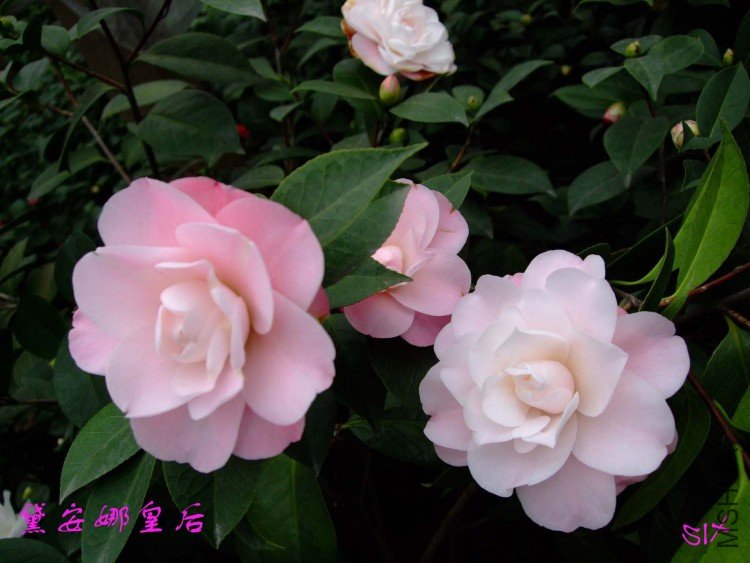 �찲�Ȼʺ� 10-2-24 (2).jpg