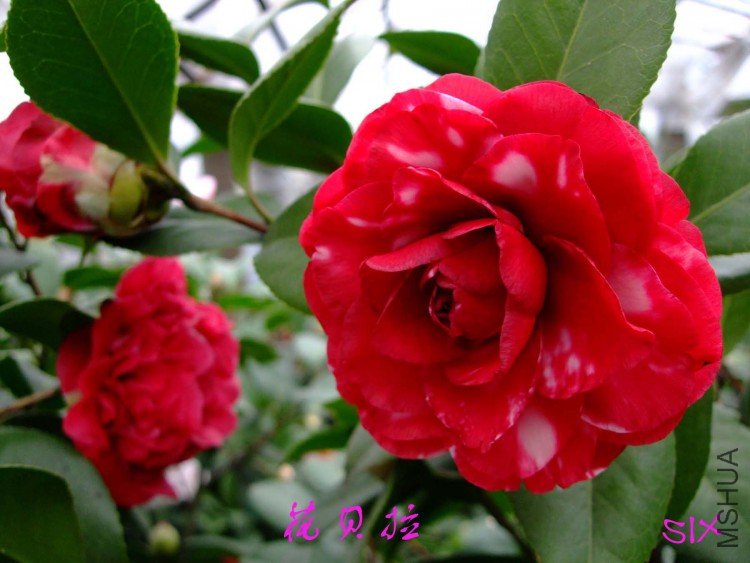 ������ 10-2-24(1).jpg