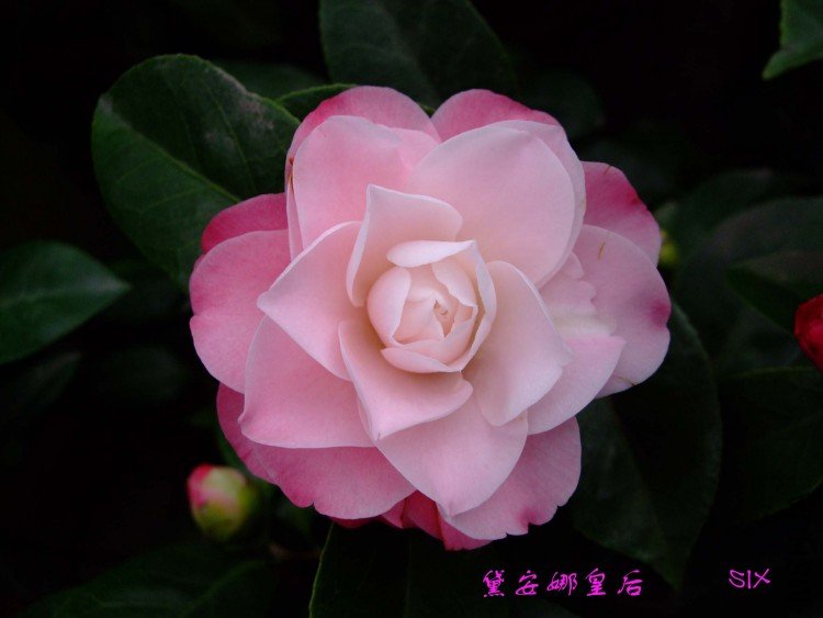 �찲�Ȼʺ� 10-2-24(1).jpg