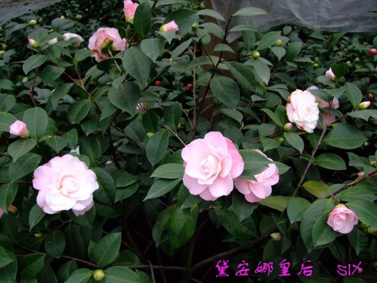 �찲�Ȼʺ� 10-2-24 (3).jpg