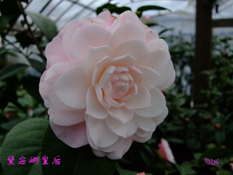 �찲�Ȼʺ� 10-2-24 (7).jpg