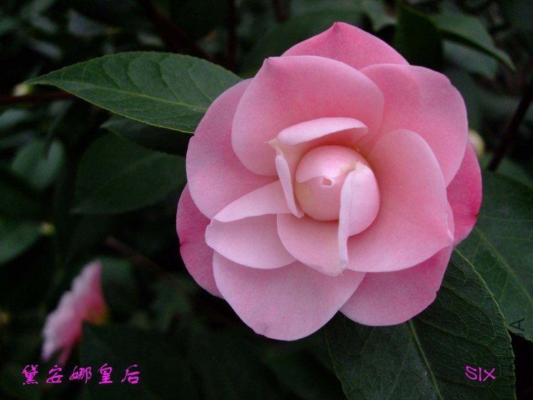 �찲�Ȼʺ� 10-2-24 (4).jpg