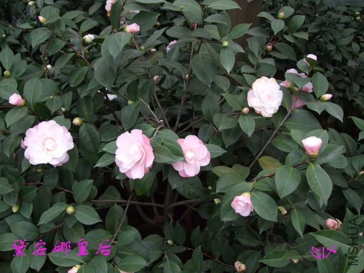 �찲�Ȼʺ� 10-2-24 (5).jpg