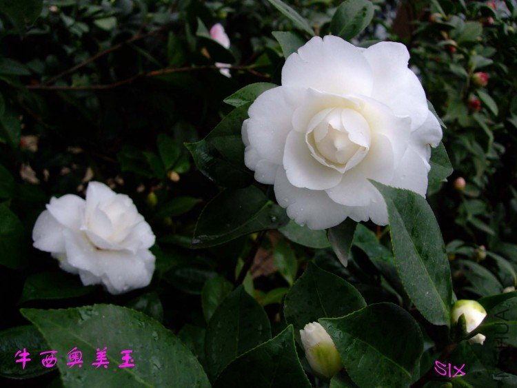 ţ��������10-2-25 (3).jpg