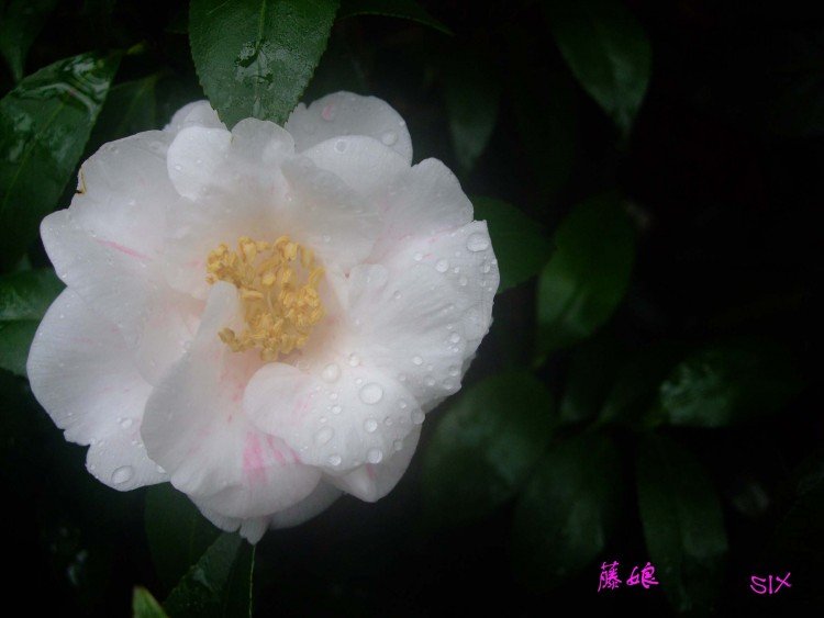 ���� 10-2-25(1).jpg