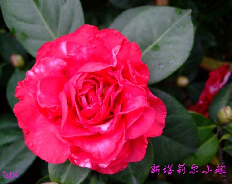 �������С�� 10-2-25(1).jpg