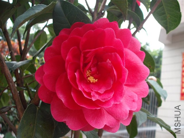 �ڶ���ȫ���