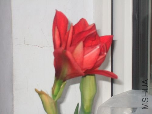 DSCF3169.JPG