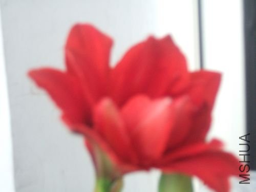 DSCF3179.JPG