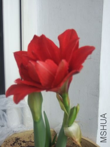 DSCF3177.JPG