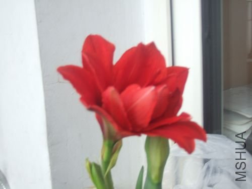 DSCF3178.JPG