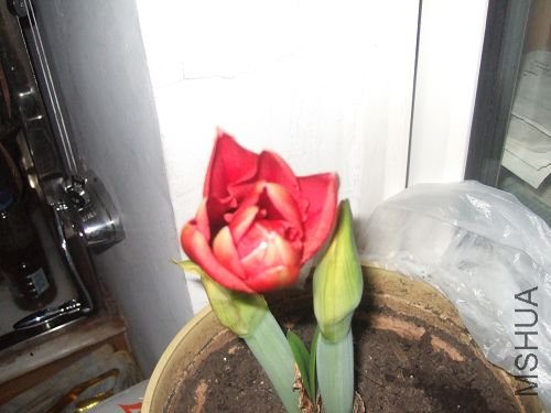 DSCF3168.JPG