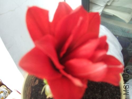 DSCF3180.JPG