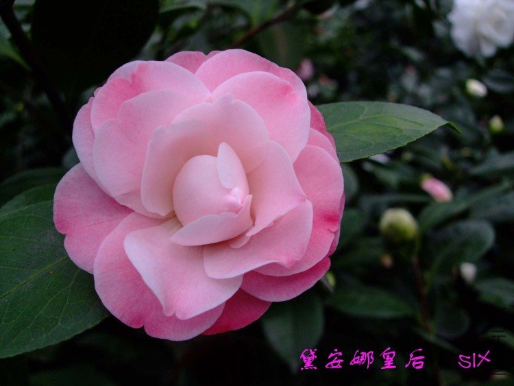 �찲�Ȼʺ�  10-2-25(1).jpg