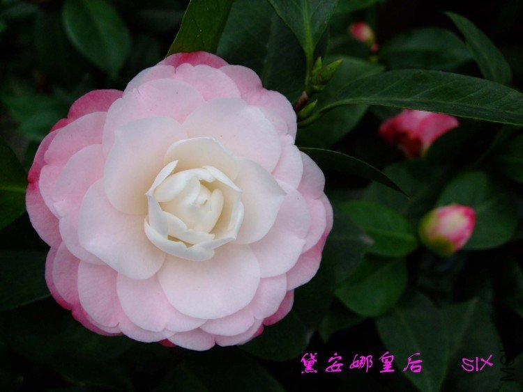 �찲�Ȼʺ�  10-2-25 (2).jpg