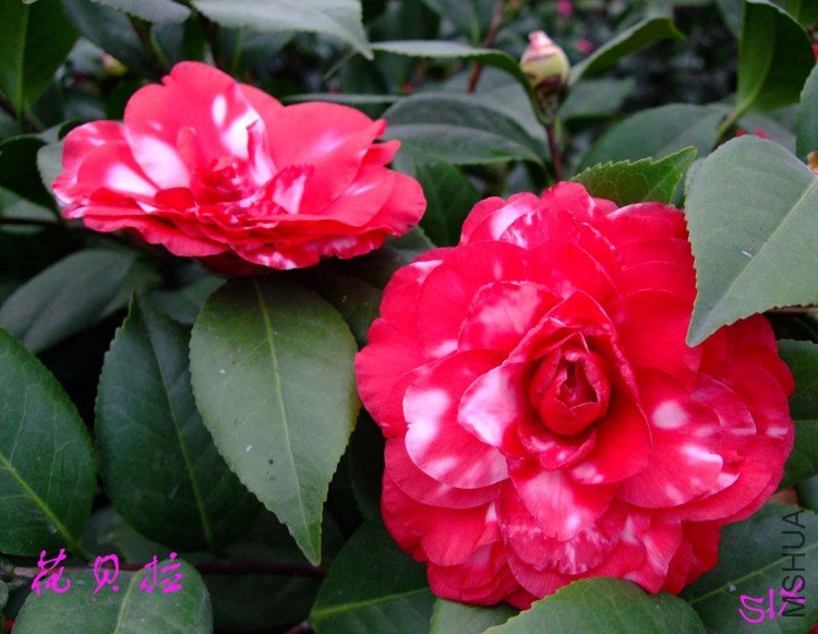 ������ 10-2-25(1).jpg