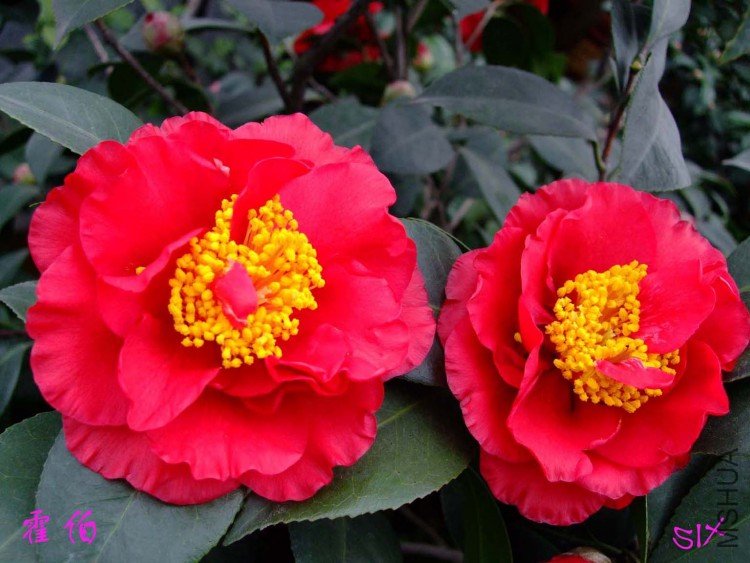 ���� 10-2-25(1).jpg