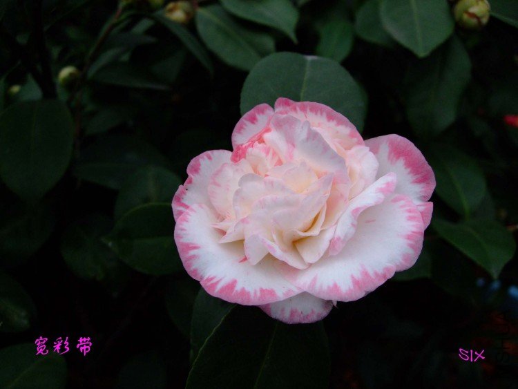 ���ʴ�  10-2-25(1).jpg