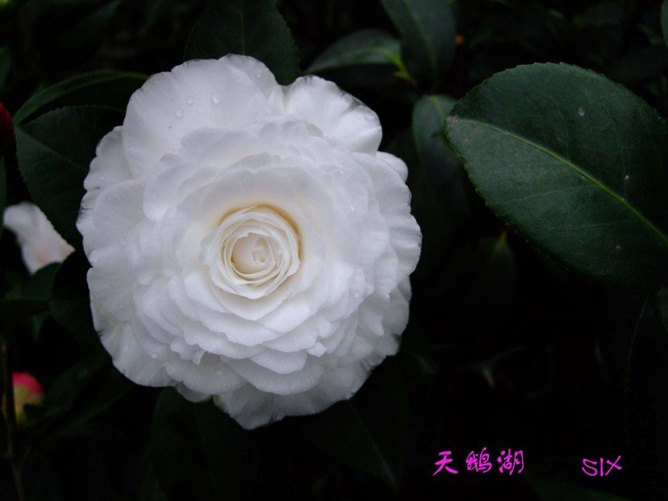 ���� 10-2-25(1).jpg