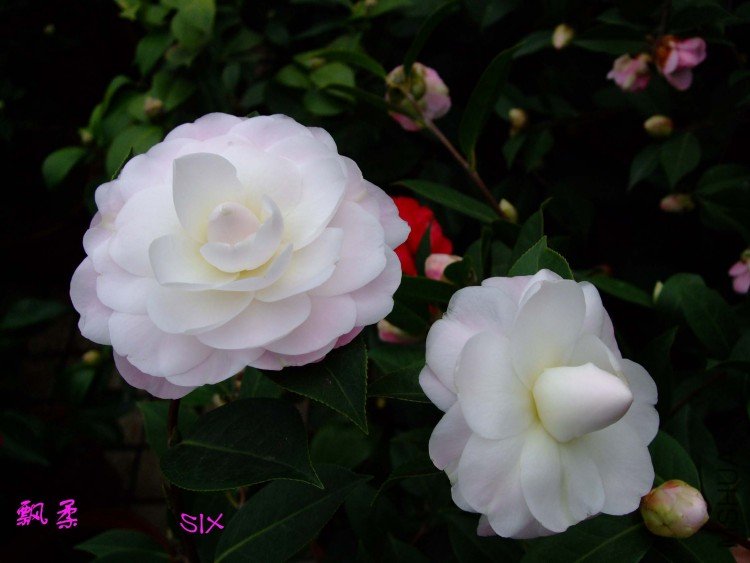 Ʈ��  10-2-25(1).jpg