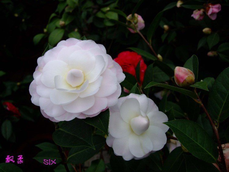 Ʈ��  10-2-25 (2).jpg