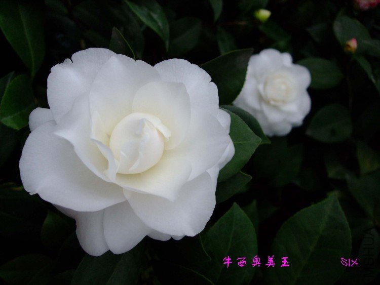 ţ��������10-2-25 (5).jpg