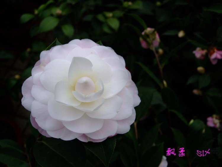 Ʈ��  10-2-25 (5).jpg