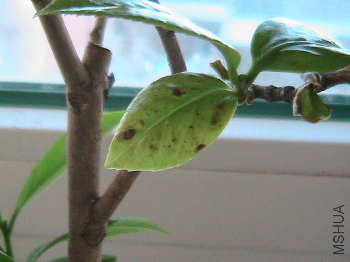 IMG_0727.jpg