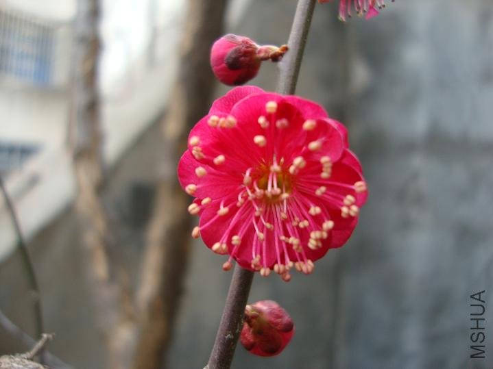 DSC00190.JPG