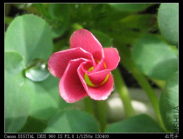 2010��2�� 005.jpg